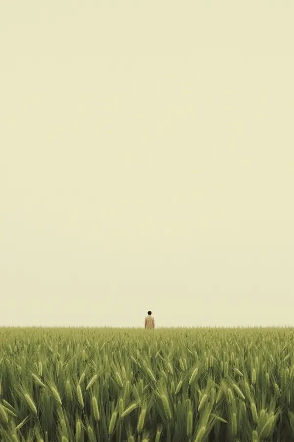 青色麦田 免费电影在线看在线观看